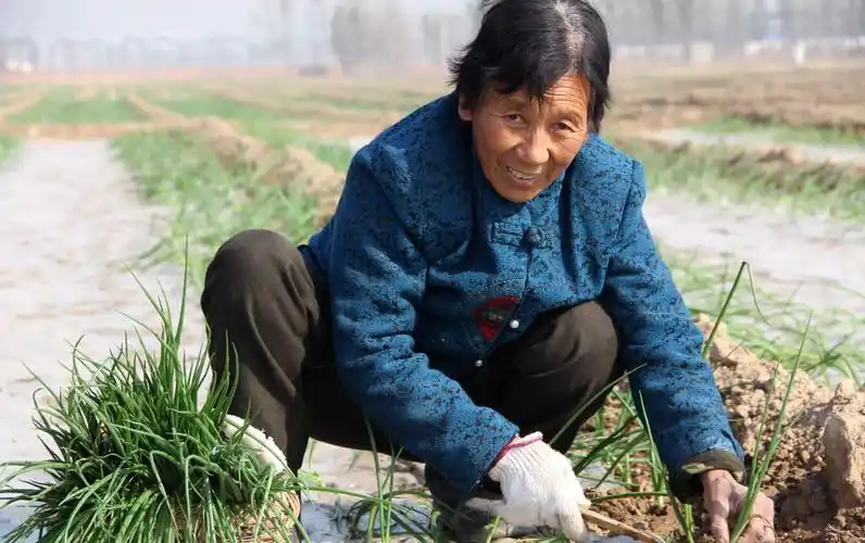 农村"新型不孝"蔓延,老人有苦说不出,年轻人该反思反思