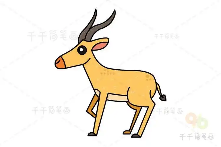 羚羊简笔画画法_羊简笔画
