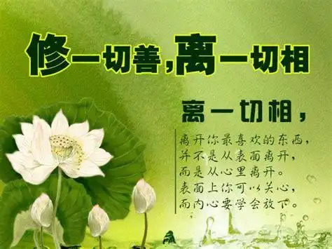 佛语经典语录静心佛语经典语录静心短语2022已更新今日热点