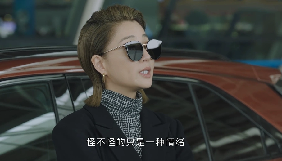 当时林睿和孟凡说过,怪不怪只是一种情绪,舒总永远