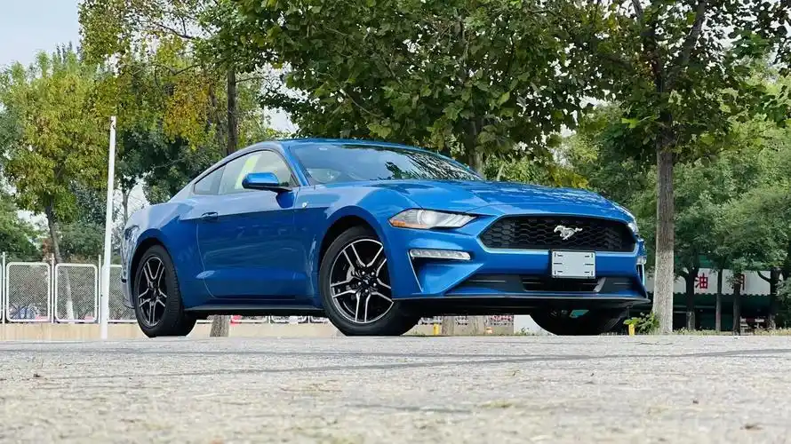 2020款 野马 2.3t 自动 硬顶 101a包 加版