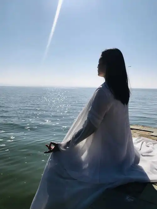 探寻林场,天然氧吧   净化身心有机素食晚餐歌颂自然  能量静心分享到