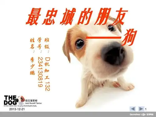 最忠诚的朋友ppt