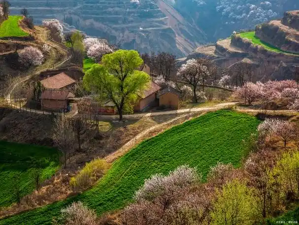 然而,在洛阳乡村,市井生活和自然美景交相辉映,你绝对无法忽视这个
