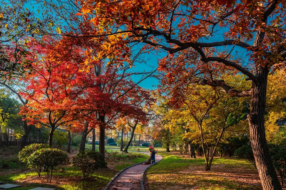来青岛旅游,一定要逛逛八大关风景区!