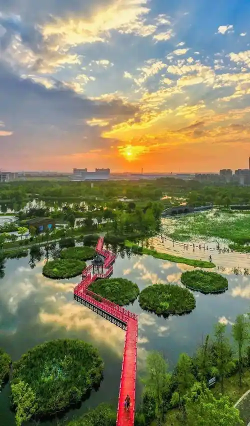 美丽生态丨泗洪:雨过天晴 生态公园如诗如画_江苏省_审核_宿迁市