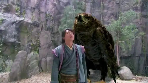 雕兄背杨过到悬崖边上,没想到杨过下去发现了前辈的武功