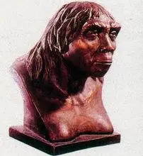 抱着寻找早期人类化石遗骸的热望,来到印尼的爪哇岛,居然找到了原始人