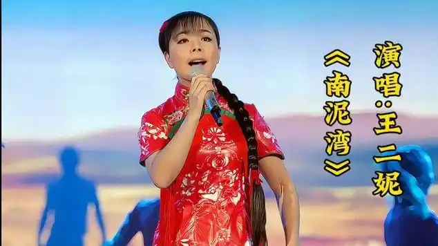 星光大道走红的歌首王二妮演唱的《南泥湾》带着东北味好听极|情歌