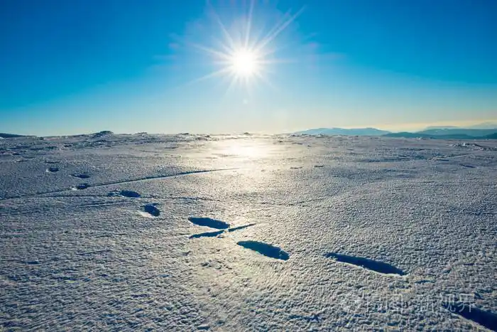 在山的雪地上的脚印