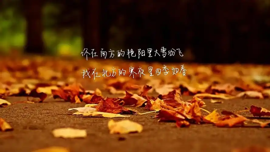 文字 歌词 南山南 文字控壁纸【1】文字壁纸图片_桌面壁纸图片_壁纸