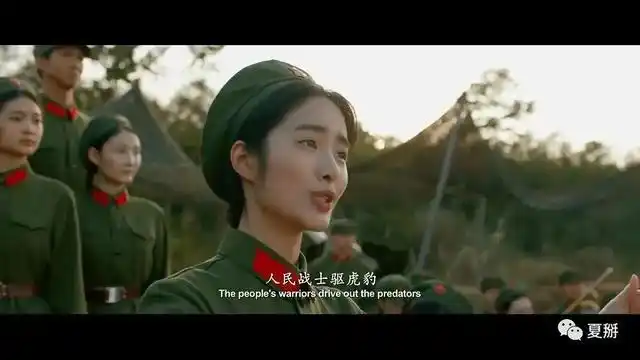 重看《芳华》之林丁丁:再美丽不过的梦,终以破碎住脚