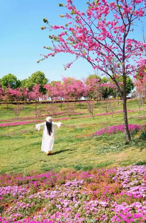 春游季##有一种叫云南的生活##坐着火车游云南