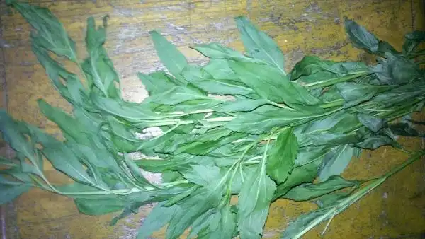 也谈鹅掌风(手癣)验方,简单速效!