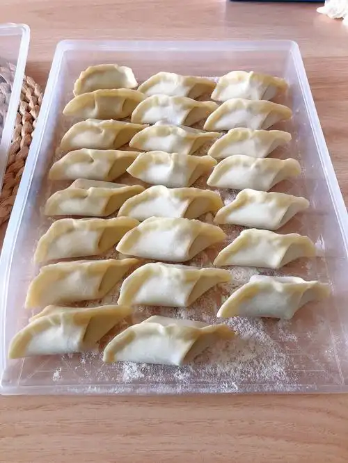 真的好喜欢我自己包的饺子09