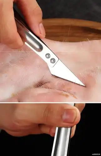 不锈钢猪毛夹拔毛器家用厨房小工具除鸡毛鸭毛钳鱼刺夹子鱼骨镊子