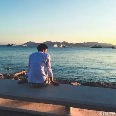 面朝大海的,是鲸鱼.