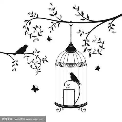 笼里的鸟