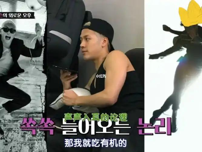 考古一直和朴振英讨论有机好好笑好听话