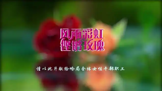 《风雨彩虹铿锵玫瑰》.mp4_腾讯视频