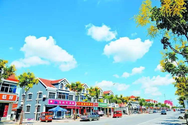 史桂龙:新的一年,泊里镇将按照工委"一