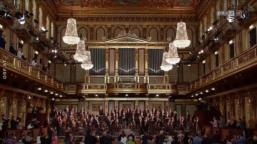 com汤沐海指挥介绍交响乐团的各种乐器v.sogou.