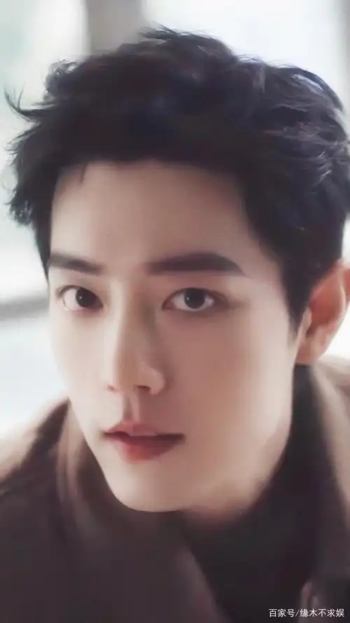 肖战"提前入秋",这组秋冬大片目光太深情,让人很难不心动