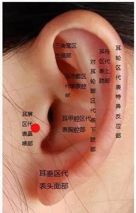 【经络养生】按摩耳朵,提升正能量