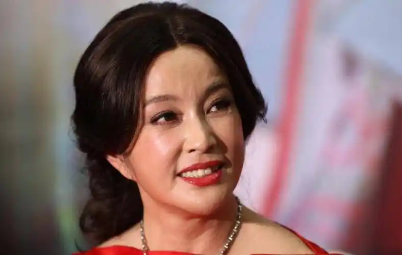 65岁刘晓庆"面具脸"太厉害,耳垂下巴都连在一起,真的没整容?