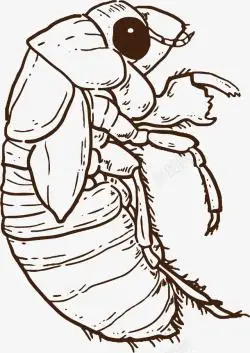 大眼卡通昆虫大眼睛卡通昆虫蝉高清图片