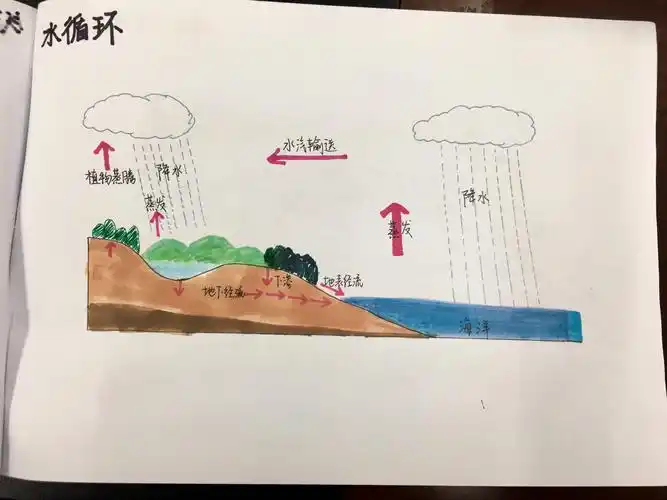 再来两幅:水循环和岩石圈物质循环.