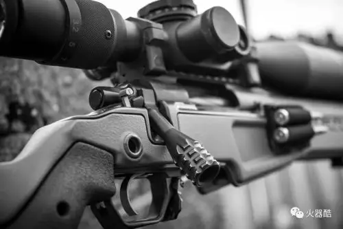 狙击界的外科医生赛加恩步枪美图集