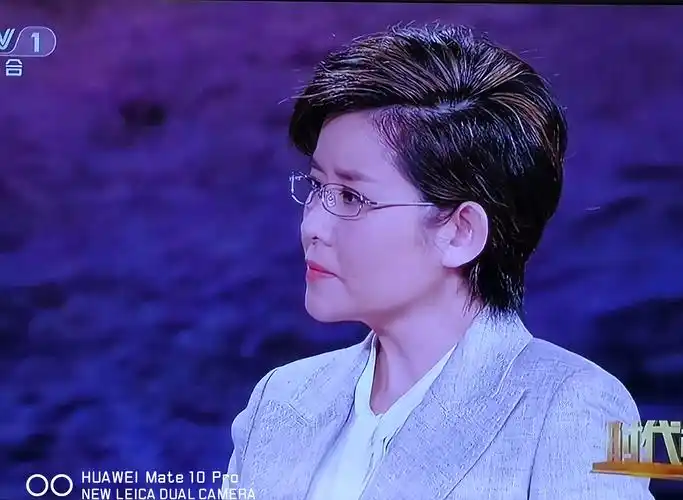 "时代楷模"发布会主持人——王宁.