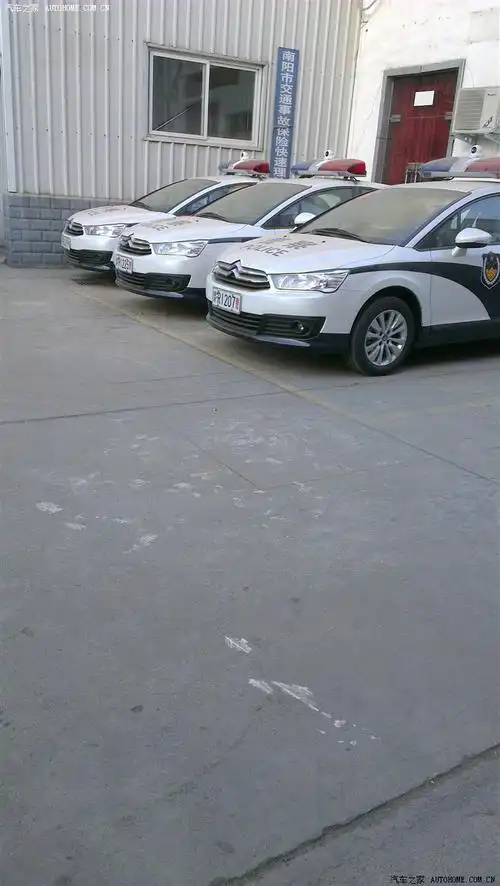 都来看看新世嘉当警车好看吗