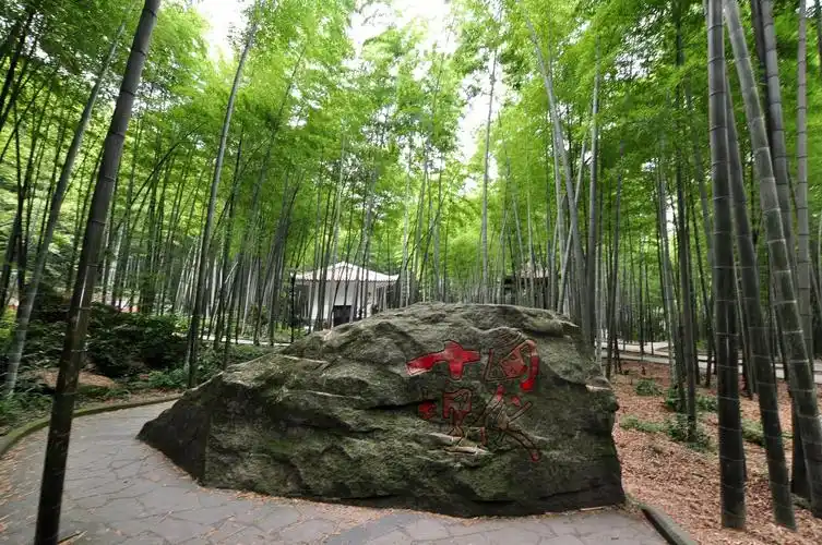 十面埋伏外景拍摄地/永川茶山竹海国家森林公园电子票/永川茶山竹海