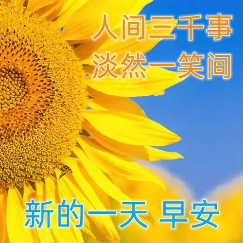 漂亮的早上好新版祝福图片大全早安问候祝福图片文字精选