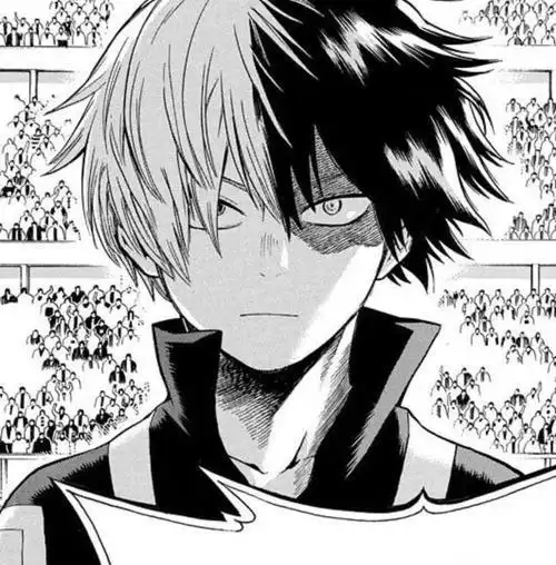 我的英雄学院轰焦冻头像黑白