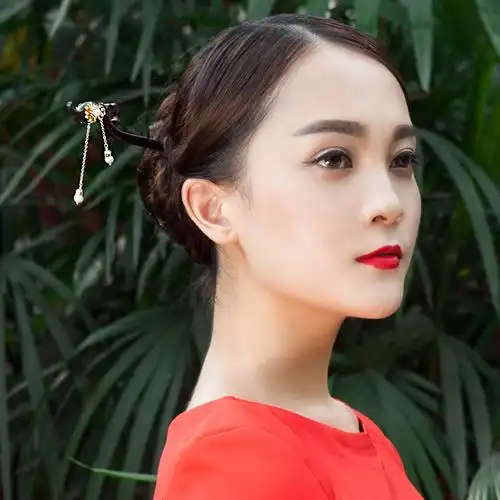 古典古装复古国风中国古代汉服檀木盘发简约发饰