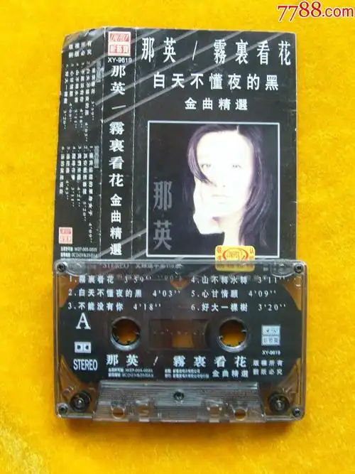 那英雾里看花金曲精选