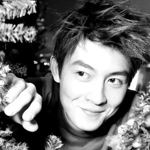 头像|陈冠希头像