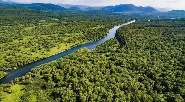 v【daiyun021】曳宜涂忧彻|黄晓明|刘亦菲|宋仲基|小龙女_网易订阅