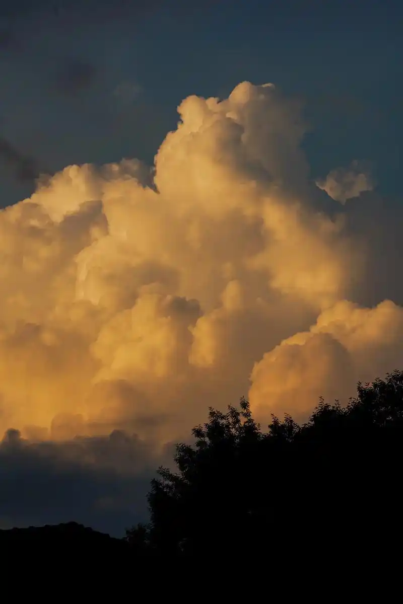 金色的 #摄影 #治愈系风景 #大自然 #蓝天白云 #我在人 - 抖音