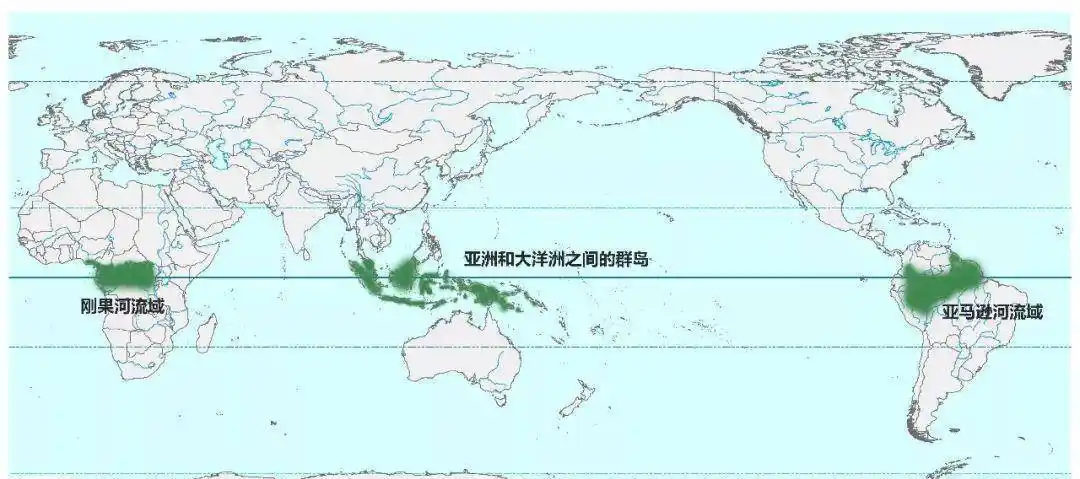 关于热带雨林的冷知识_世界_亚马逊_气候