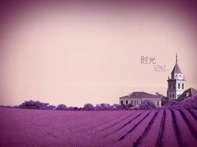 时光匆匆的句子唯美(感叹时光飞逝的短句唯美)