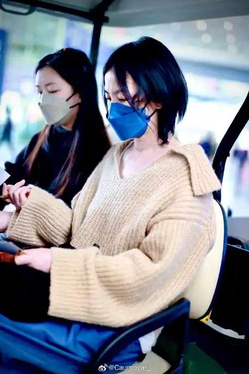 王菲李嫣机场同框