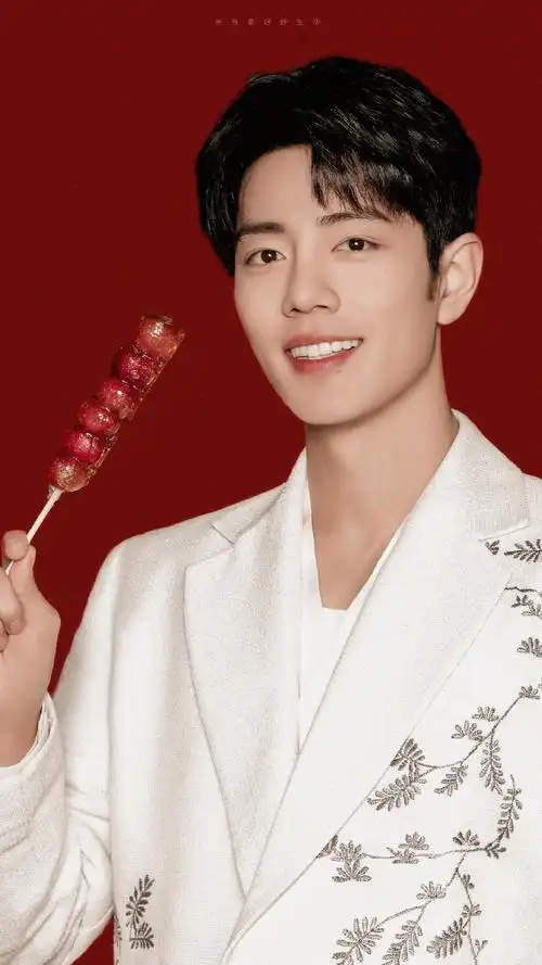 肖战##肖战北京台春晚海报