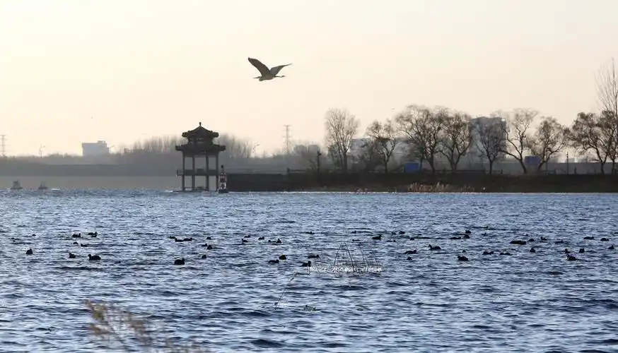 《镜界蓟州》寒冬来临赏于桥水库美景