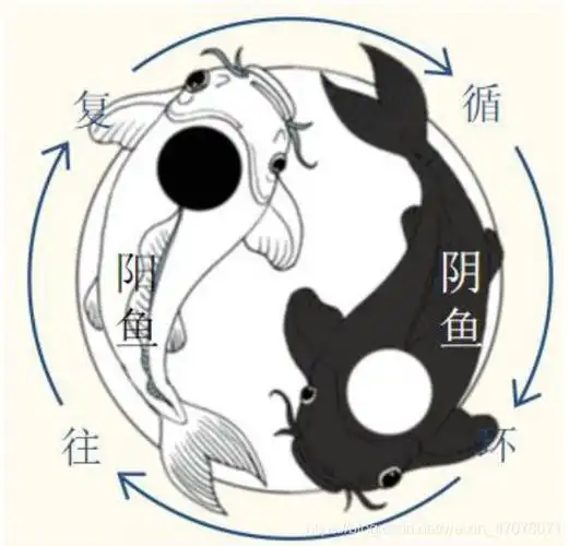 自由智慧 ■ 我们可以把太极图中的阳鱼看作净现金流(收入-支出)为正