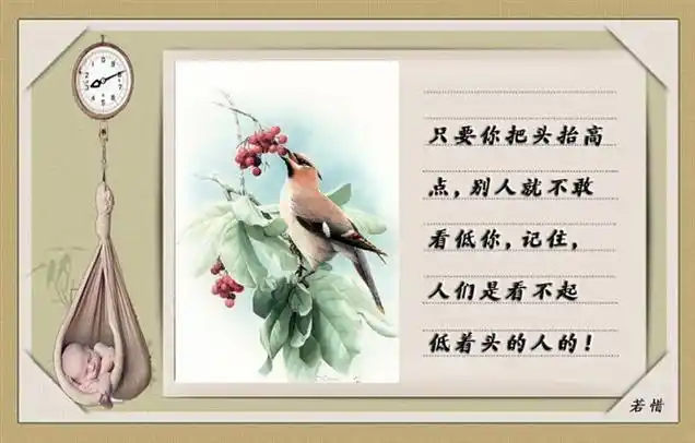 真正的涵养和品位