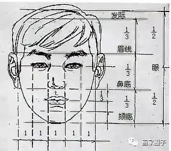 ▼///【三庭五眼】都会有很大的作用还有画插画,漫画,包括人物画线条